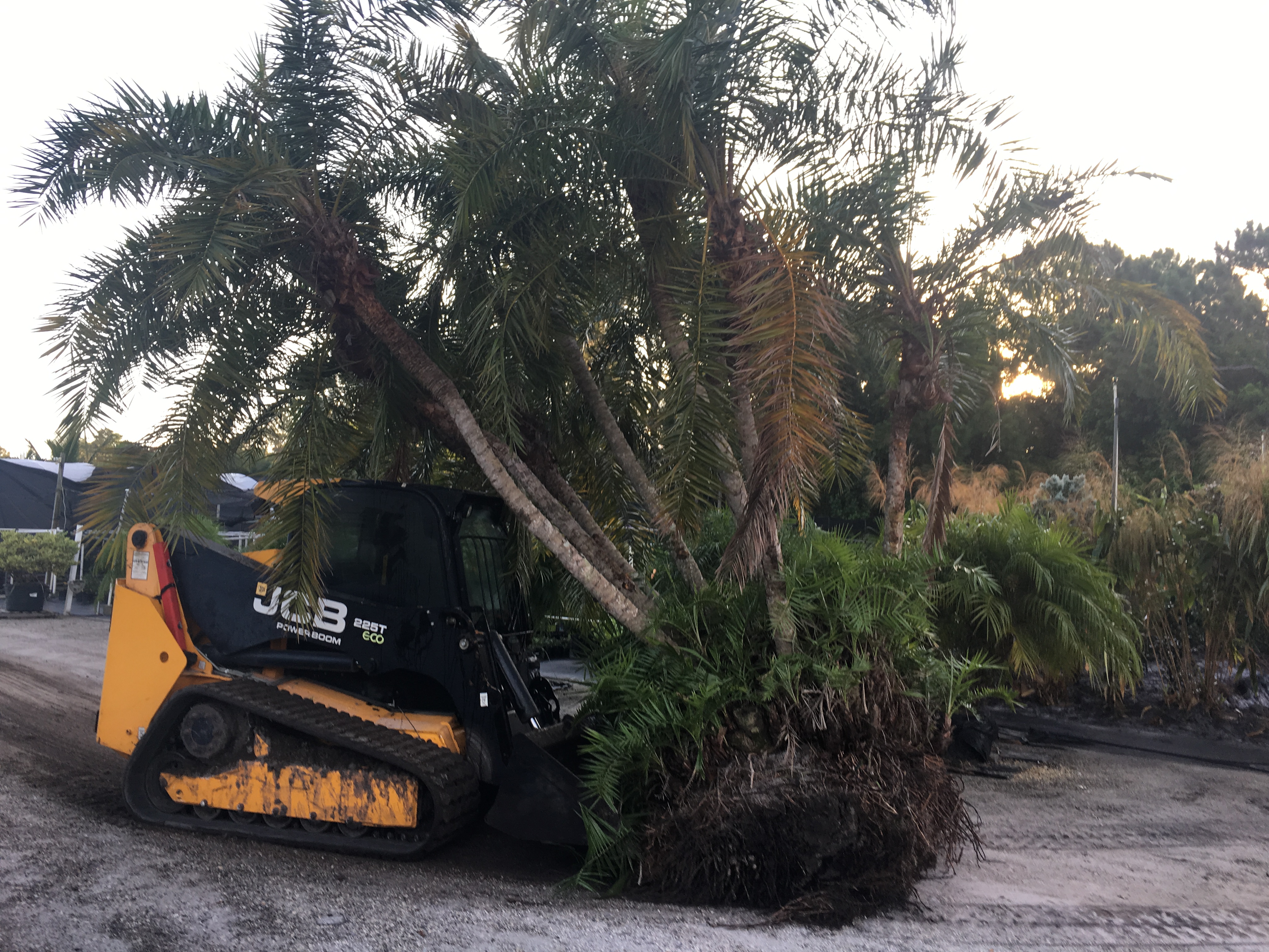 Stevenson Landscaping