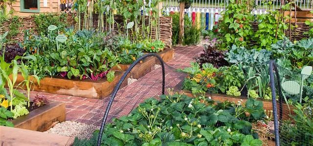 Stevenson Landscaping