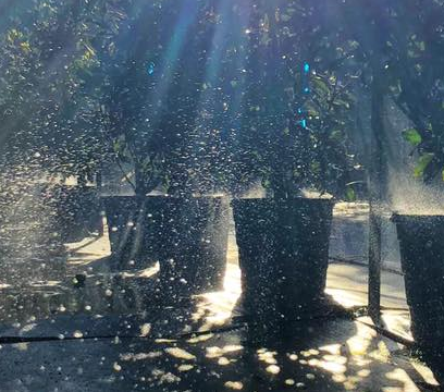 Irrigation
